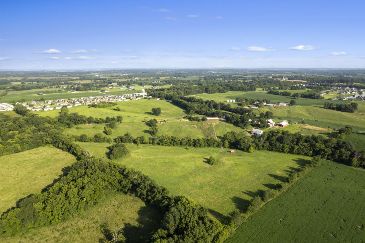 Editorial view representing Graves County